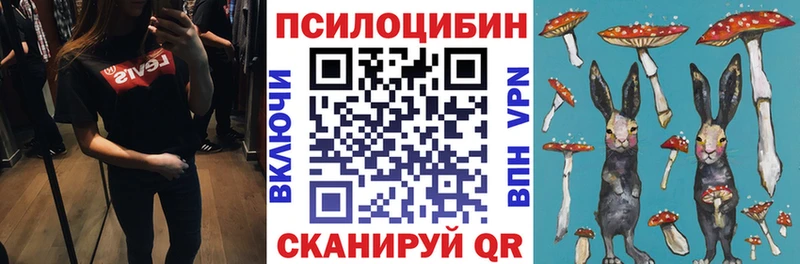 Псилоцибиновые грибы Cubensis  продажа наркотиков  Цивильск 