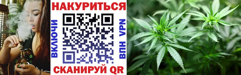 продажа наркотиков  Цивильск  Бошки марихуана индика 