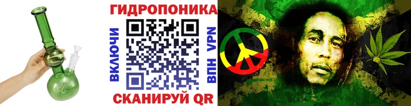 Конопля OG Kush Цивильск